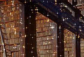 a library full of stars