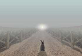 a rabbit stands in a dirt road, seeing a light in the distance