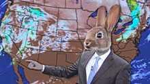 A weatherman points at a map